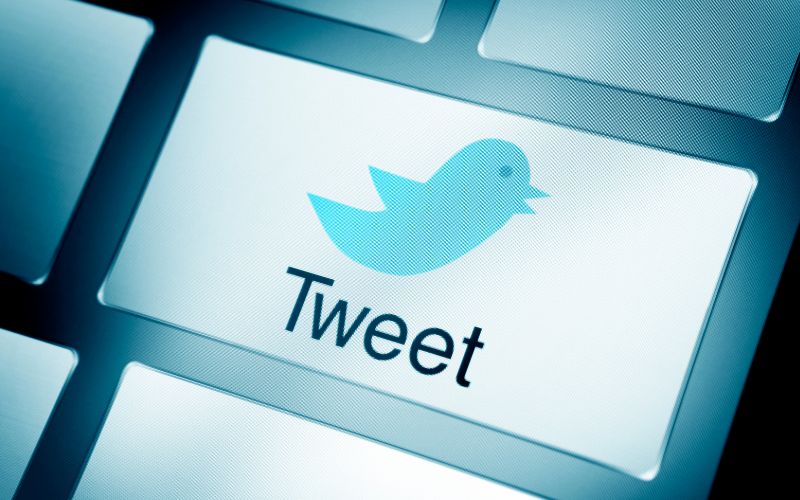 como ganhar seguidores no Twitte