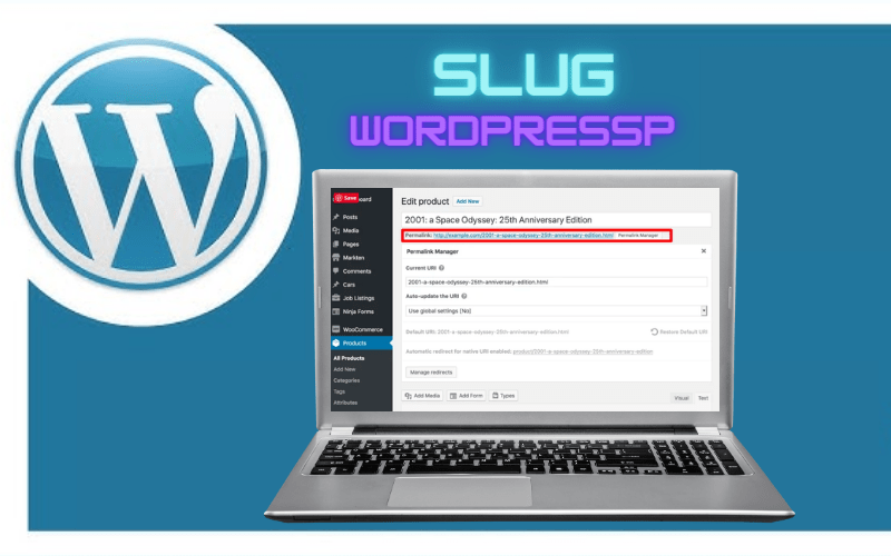 Slug WordPress: Como Funciona, Tipos e Vantagens Para o SEO