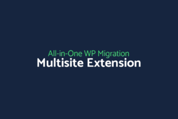 All-in-One WP Migration Multisite Extension - v4.55