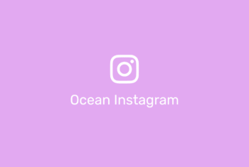 OceanWP Instagram - 1.2.4