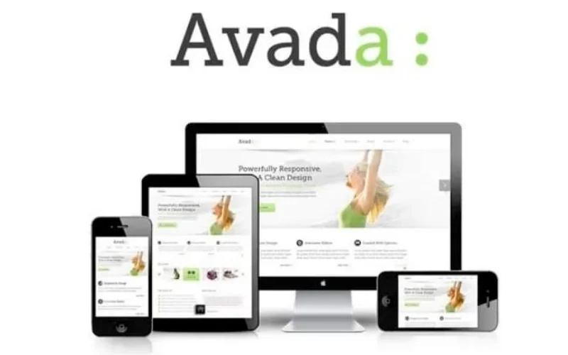 avada theme