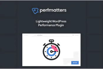 Perfmatters - v2.4.4