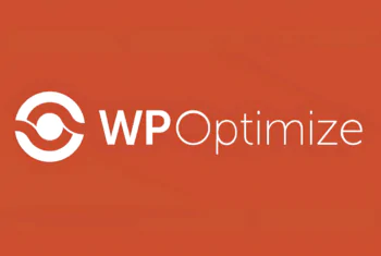 WP-Optimize Premium - v4.2.1