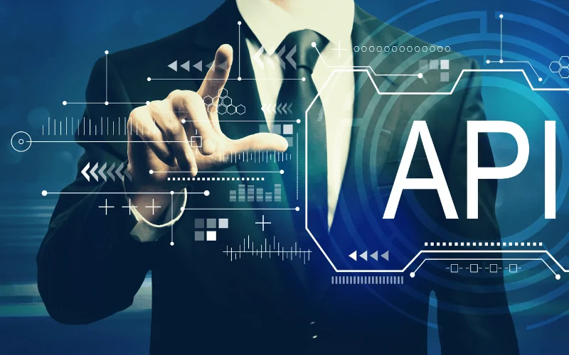 O que é um formato de API do WordPress