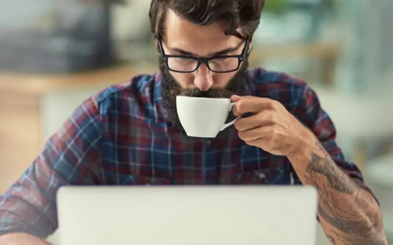 wordpress méxico