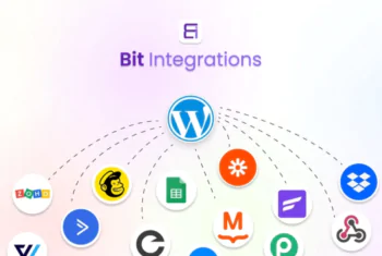 Bit Integrations Pro - v2.4.10