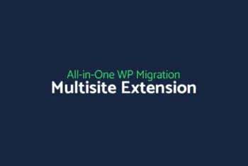 All-in-One WP Migration Multisite Extension - v4.55